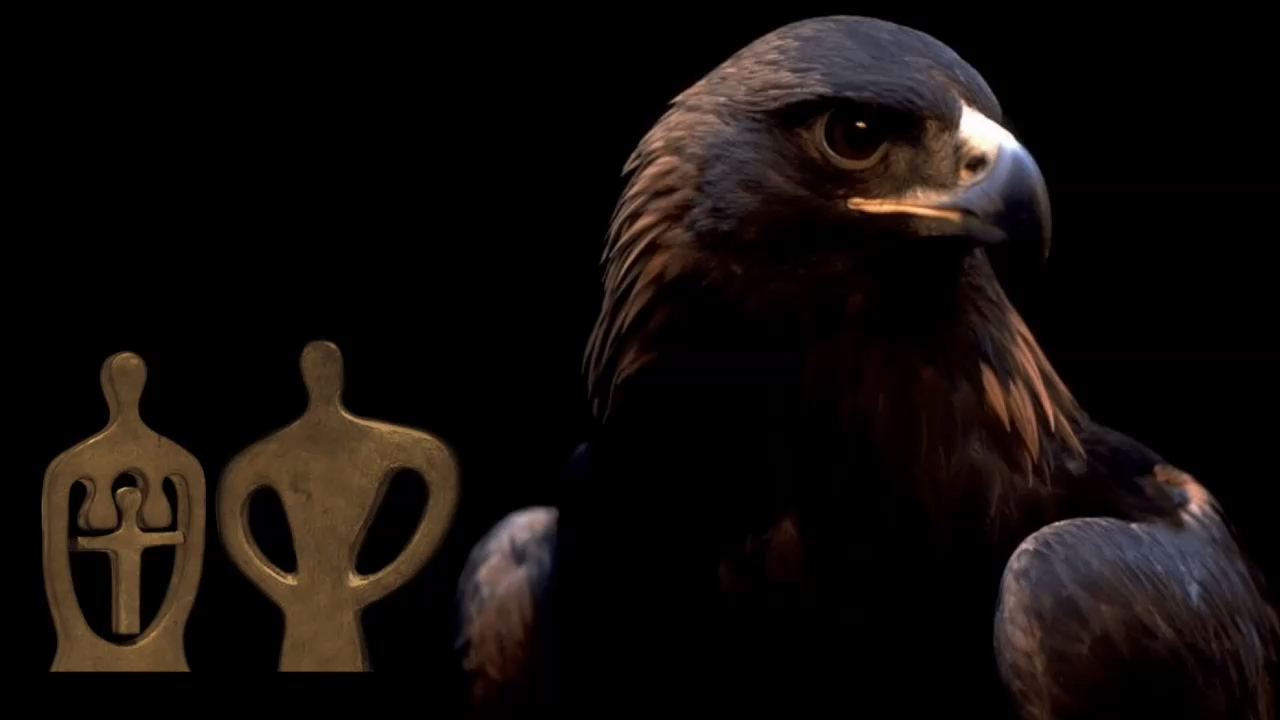 Rutube_account_1355974