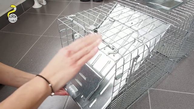 TNR - Setting up a Cat Trap - Havahart Model #1089 смотреть онлайн