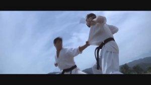 ТОП 5 ЯПОНСКИХ ЕДИНОБОРСТВ КОТОРЫЕ ИЗУЧАЮТ ВО ВСЕМ МИРЕ