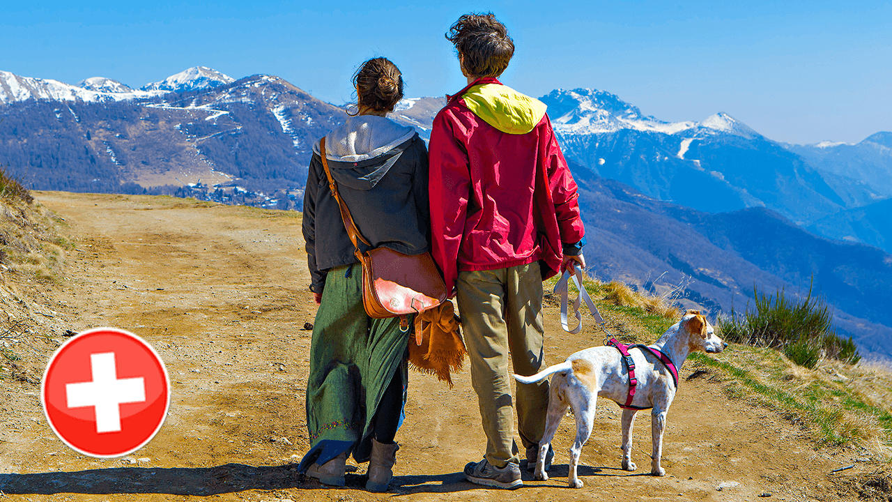 Так швейцарцы видят мир 2023 I Тенденции внешней политики, безопасности и обороны
