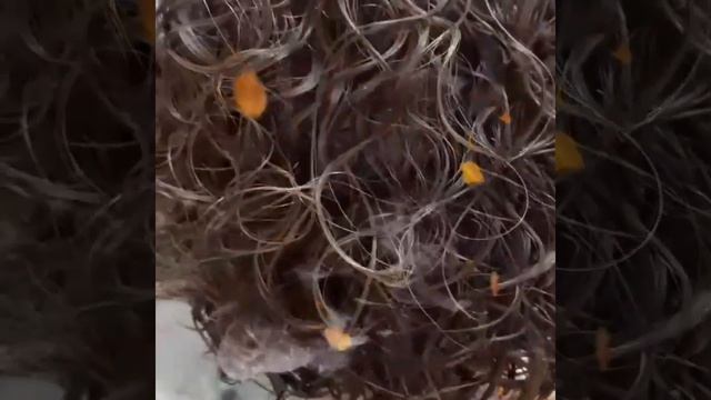 VID_63230424_000832_239.mp4