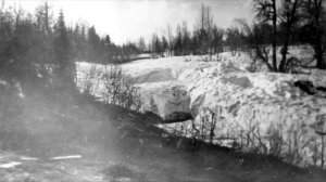 ==Нападение снежного человека  Версия гибели группы туристов на перевале Дятлова==