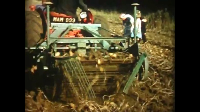 Scottish Potato Pickers In The 1950s смотреть онлайн