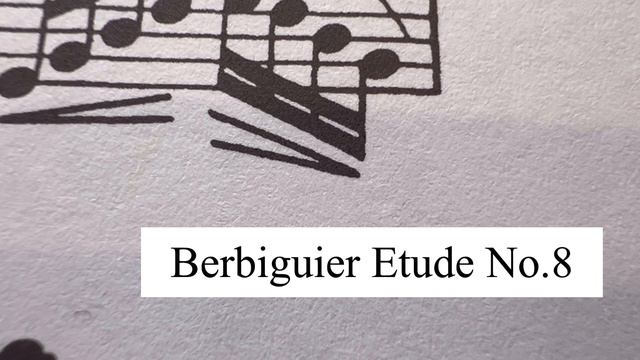 Berbiguier Etude No.8 смотреть онлайн