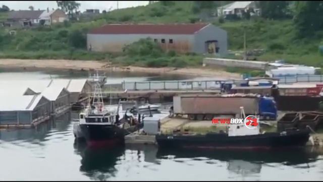 Активистам не разрешили фиксировать на видео процесс транспортировки косаток из «китовой тюрьмы» смотреть онлайн