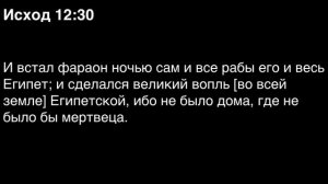 День 18. Библия за год. С митрополитом Иларионом. Библейский ультрамарафон портала «Иисус»