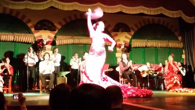 아름다운 여인과 정열의 춤 플라멩고. flamengo, tap dance, a musical performance, overseas trip, Spain смотреть онлайн