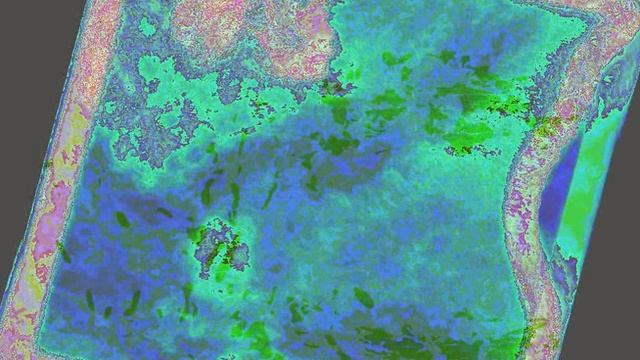 Фокальная статистика стандартное отклонение по снимку Landsat 7 канал 5 смотреть онлайн