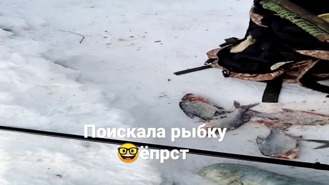 #отдых #природа #рыбалка. Белоярское водохранилище. ?Поискала рыбку называется, всех накормила ?? смотреть онлайн