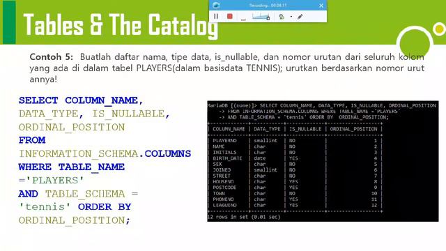 SMBD - System Catalog смотреть онлайн