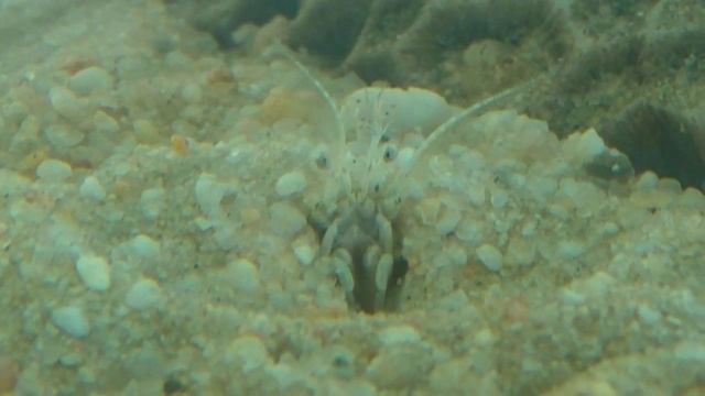 Камбоджа,Сиануквиль.На дне морском.м смотреть онлайн