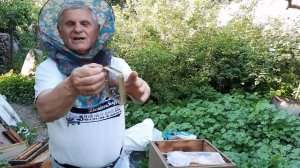 Как сделать отводок пчел легко и просто!