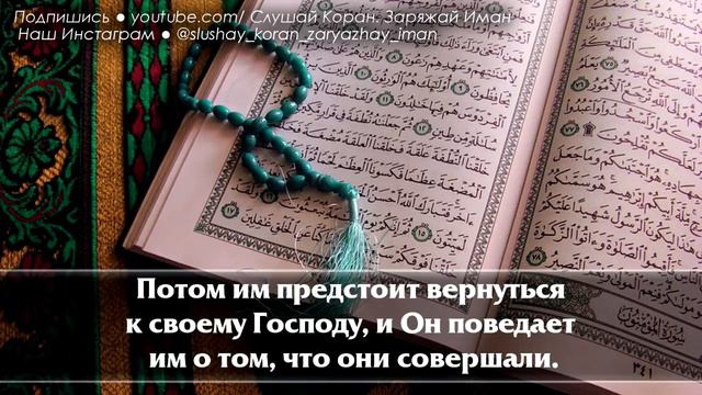 🎧 СЛУШАЙТЕ КОРАН - ЛЕЧИТЕ ДУШУ С ПОМОЩЬЮ КНИГОЙ АЛЛАХА ГОСПОДА МИРОВ смотреть онлайн