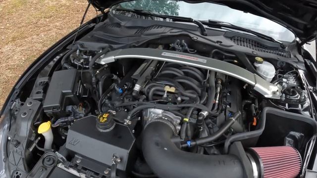 Shelby GT350 MUST HAVE NA performance mods! 500+WHP?! смотреть онлайн