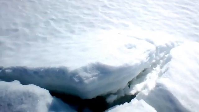 videoplayback смотреть онлайн
