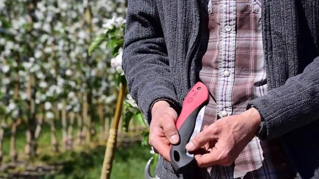 Какой инструмент выбрать для обрезки интенсивного сада? смотреть онлайн