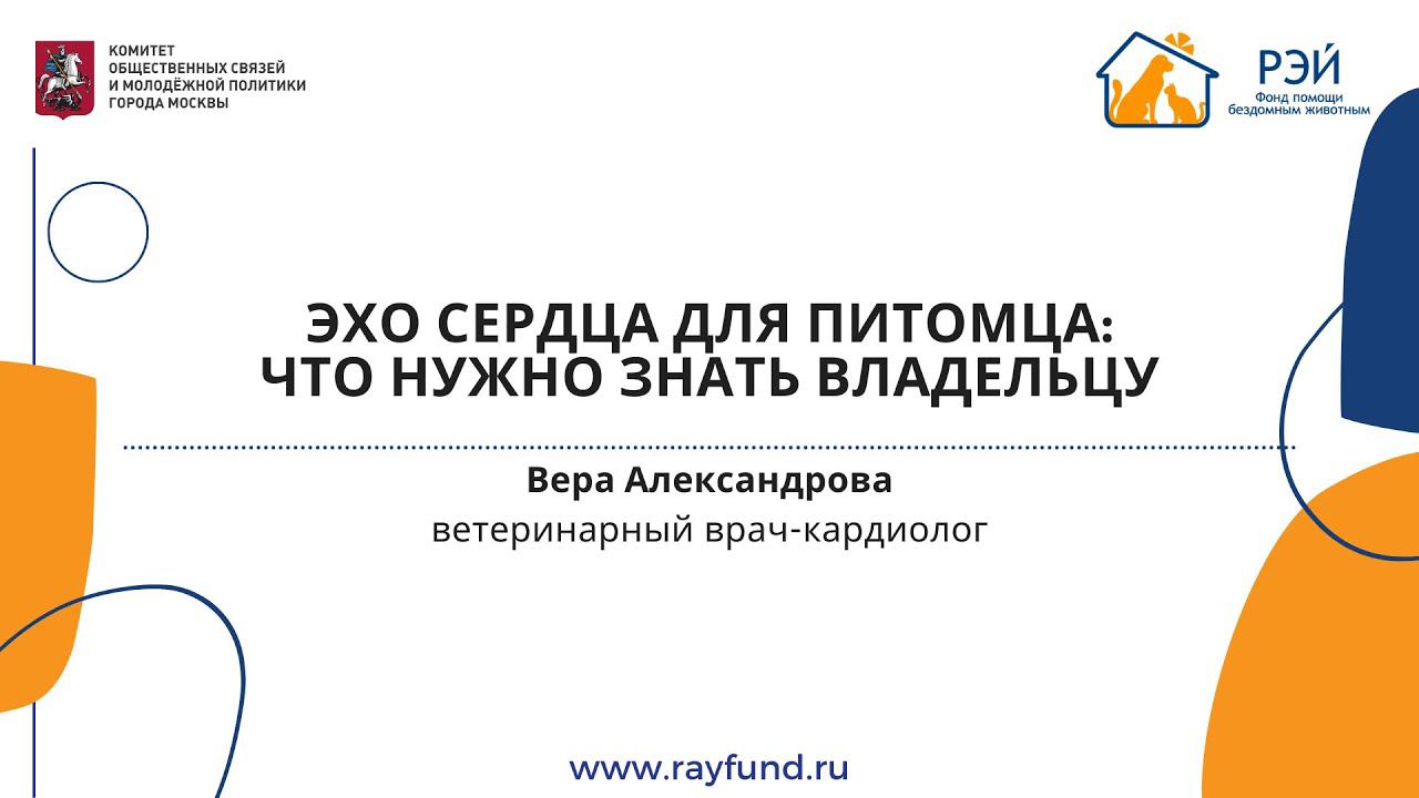 ЭХО сердца для питомца: что нужно знать владельцу смотреть онлайн