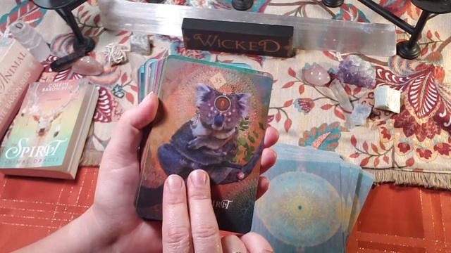 The Spirit Animal Oracle Review смотреть онлайн