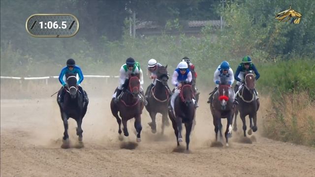 4-я Скачка. Приз Главы КБР. Нальчикский ипподром 11 сентября 2022 смотреть онлайн