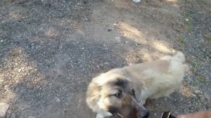 Как залить бетонный пол в гараже?Ремонт гаража.