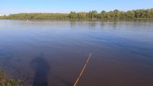 Летняя рыбалка 2023 Иртыш.