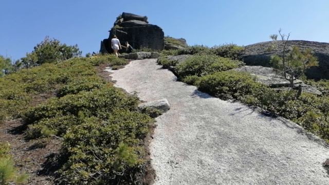 Роман Петров