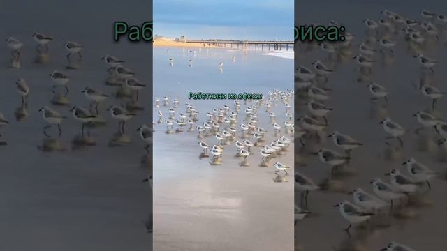 🔥Отдыхать – не работать