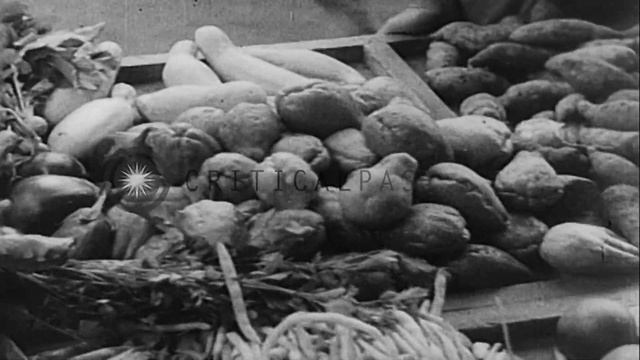 Civilian internees work in a vegetable garden at a Civilian internment camp in Ja...HD Stock Footag смотреть онлайн