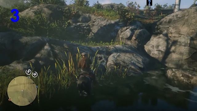 Red Dead Online. Treasure hunting. Southern Roanoke / Карта сокровищ Южный Роанок смотреть онлайн