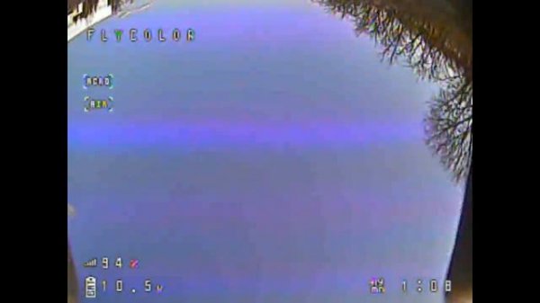 2 inch micro with geprc frame110 mm