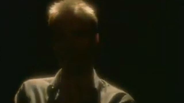 Video Sting - Fields Of Gold