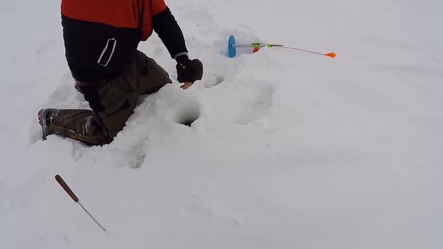 Рыболовные Видения