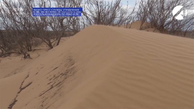 В Астраханской области установили признаки опустынивания земель сельхозназначени.mp4 смотреть онлайн