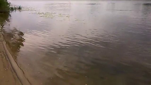 На фидер в холода на Оке. смотреть онлайн