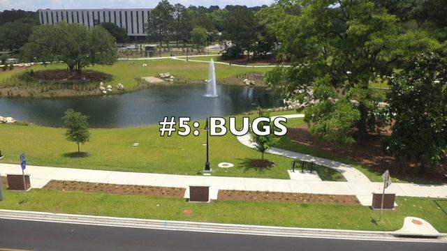 TOP 10 Reasons why TALLAHASSEE, FLORIDA is the WORST city in the US! смотреть онлайн