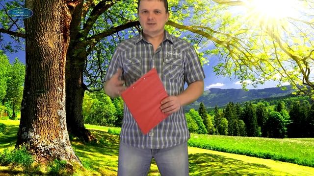 ЭТО ОЧЕНЬ ВАЖНО!!! ПЕТУНИЯ. КАК ПРАВИЛЬНО ВЫРАСТИТЬ РАССАДУ ПЕТУНИИ! смотреть онлайн
