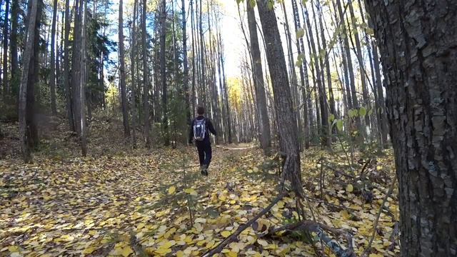 Национальный парк Нечкинский, октябрь 2021г смотреть онлайн