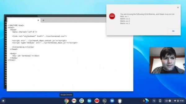 Installing Linux Apps on Chrome OS Flex