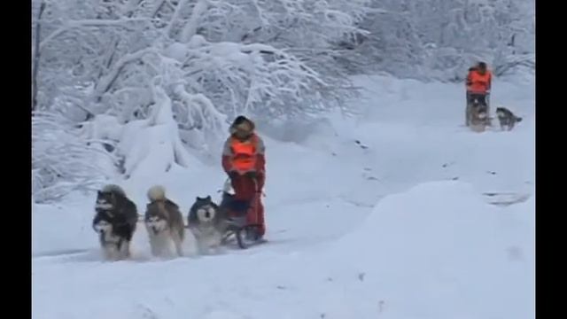 1200 км. с упряжками ездовых собак смотреть онлайн