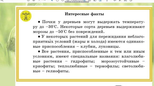 Урок 7. Естествознание. Как растения приспособлены к условиям жизни. 3 класс смотреть онлайн