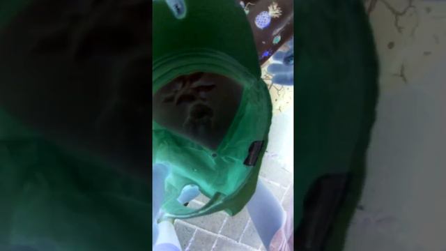 Эти люди какашки!!! смотреть онлайн