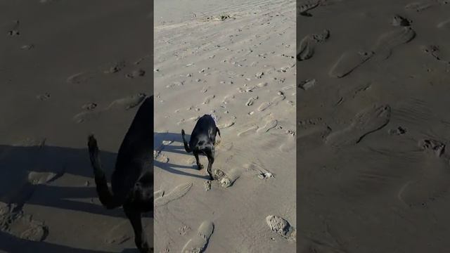 Отдых на океане смотреть онлайн