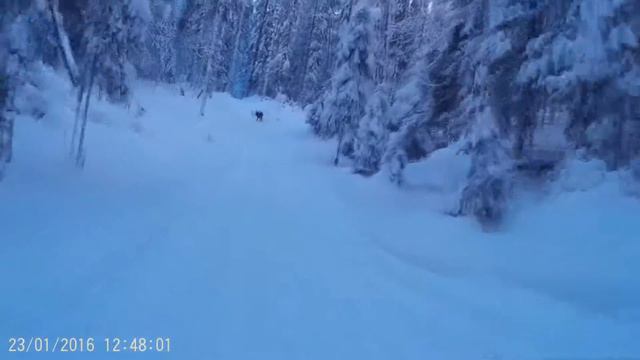 Лемболовская 10ка смотреть онлайн