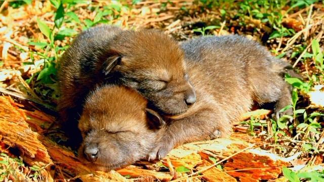 4 октября 2023 г.