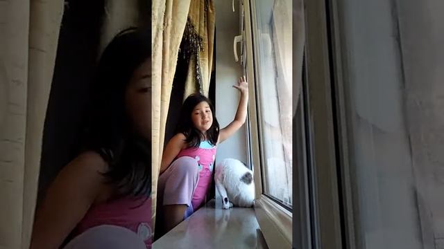 Vlog:видос с котом. Он кусается и царапается смотреть онлайн