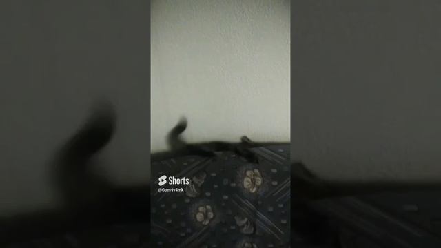 7 августа 2024 г..mp4