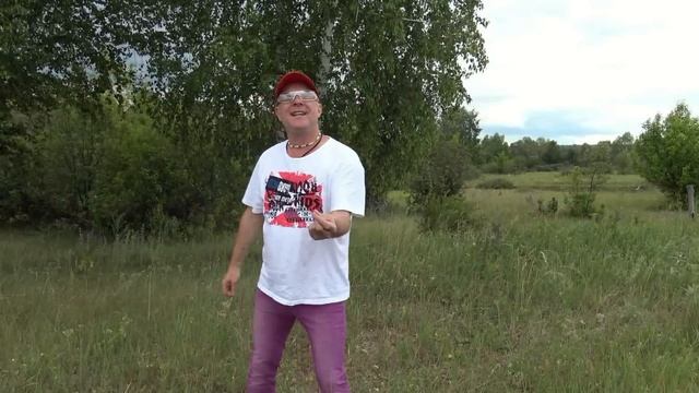 ТЫ СВОДИШЬ МЕНЯ С УМА - Валерий Палаускас смотреть онлайн