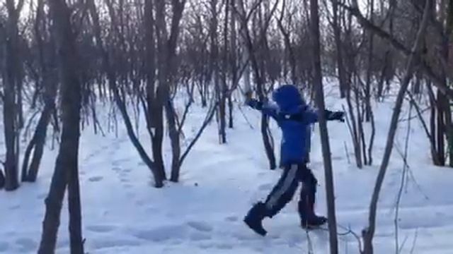 My little brother being king of the squirrels (Markiplier f смотреть онлайн