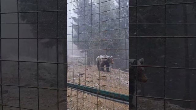 Національний ??парк,,СИНЕВИР,,.. #синевир смотреть онлайн