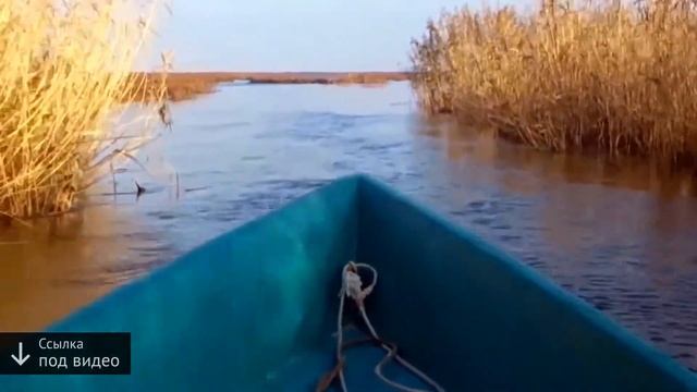для рыбалки астрахань магазин смотреть онлайн